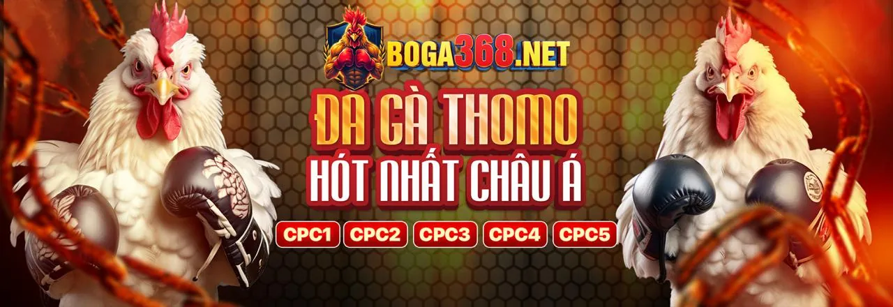 Chương Trình VIP Mới Tại Casino Trực Tuyến 98wim